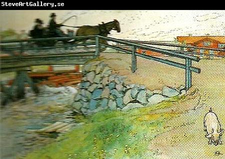 Carl Larsson bron
